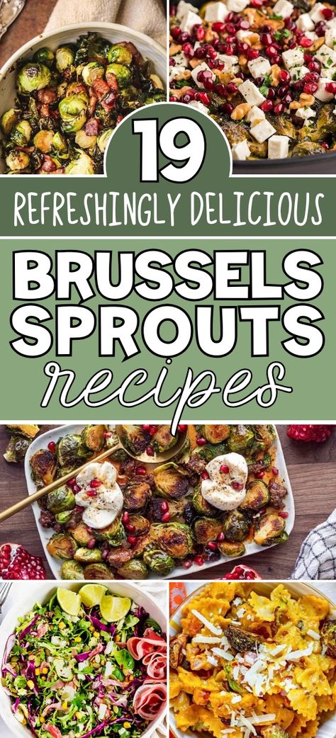 It’s no surprise that Brussels sprouts have had a bad rap in recent years. After all, a lot of folks don’t know how to cook this potentially delicious vegetable. Boiling sprouts until they’re mush isn’t going to do your tastebuds any favors, and might just put you off sprouts for life. So, if you want to find out how to enjoy Brussels sprouts the way they really do deserve, take a look at the following recipes. Each one was chosen because it maximizes the appeal of this distinctive vegetable. Vegetarian Recipes With Brussel Sprouts, 54th Street Brussel Sprouts, Make Ahead Brussels Sprouts, Hamburger Brussel Sprouts Recipe, Bruxelles Sprouts Recipe, Brussels Sprout Soup Recipe, Leftover Brussel Sprouts Recipe, Fall Brussel Sprout Recipes, Lazy Dog Brussel Sprouts Recipe