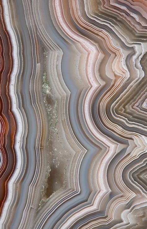 Agate Properties, Face Cut, Beautiful Rocks, Mineral Collection, Detail Shots, Agate Crystal, Crazy Lace Agate, Lace Agate, Rocks And Minerals