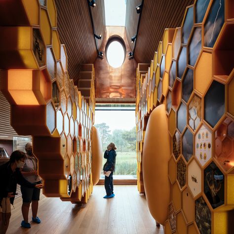 invisible studio's beezantium is a new home for bees in somerset Oak Interior, Clad Home, Bee Hotel, Shaped Windows, Studio Build, Picture Window, Bee House, Copper Roof, Timber Panelling