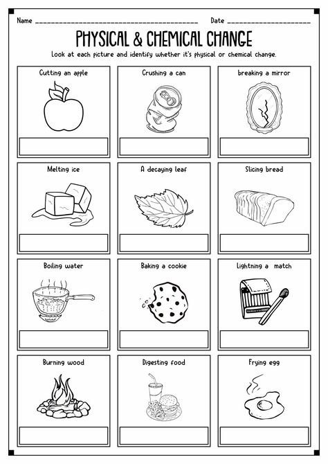 Physical And Chemical Change Worksheets, 3rd Grade Science Worksheets Free Printable, Physical Science Worksheets, Science Worksheets Grade 2, Physical Changes In Matter, Chemical Change, Physical And Chemical Changes Activities, Physical And Chemical Changes, Chemical Changes Activities