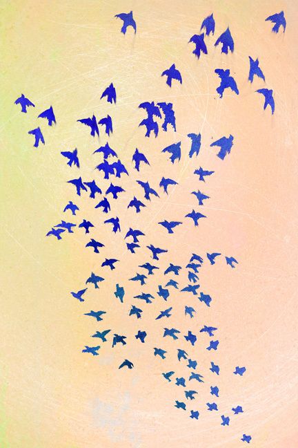 starling murmuration by trent tate, via Behance Starling, Starling Murmuration, Murmuration Art, Sea Glass Window, Wallpaper Ceiling, Linocut Prints, Art Journal Inspiration, Artsy Fartsy, Painting Crafts