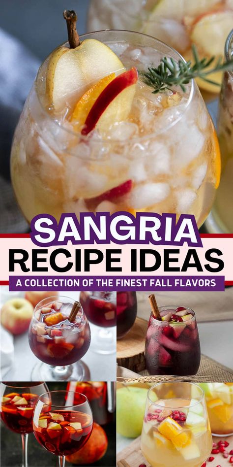 12 Of The Best Fall Sangria Recipes | Recipes Easy Big Batch Sangria, Mixed Wine Drinks, Authentic Sangria Recipes, Halloween Sangria Punch, Italian Sangria Recipes, Large Batch Sangria Recipe, Sangria For A Crowd Parties, Prosecco Sangria Recipes, Vodka Sangria Recipes