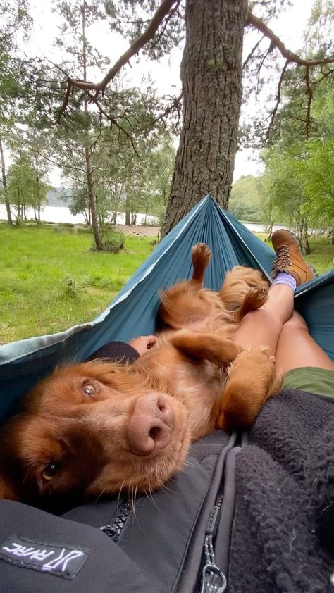 theedinburghspaniels on Instagram: Dogs > people 🤷🏼‍♀️ Hammock @decathlonuk Boots @karrimorofficial via @gooutdoors Jacket @revolutionrace Dog Hammock, Hiking Dogs, Dog Adventure, Dog People, Instagram Dogs, Outdoor Dog, Mountain Dogs, New Puppy, Cat Mom