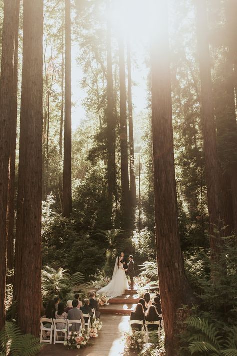 Sparrow Valley Retreat Intimate California Redwoods Wedding Red Woods Elopement, Wedding In Redwoods, California Mountain Elopement, Sparrow Valley Retreat Wedding, Red Wood Wedding, Redwoods Wedding California, Sparrow Valley Retreat, Red Woods Wedding, Muir Woods Wedding