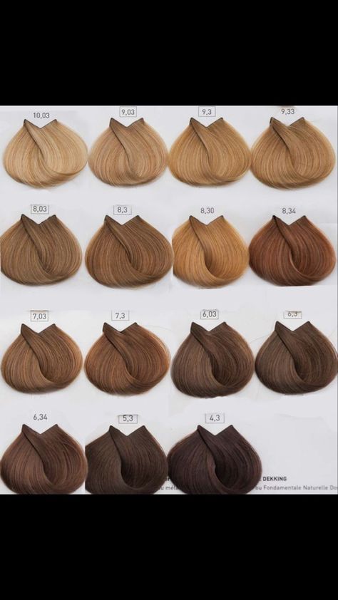 Hair Color Swatches, Caramel Brown Hair, Brown Hair Shades, Beige Hair, Korean Hair Color, Honey Brown Hair, Brown Hair Looks, Stile Hijab, Hair Color Caramel