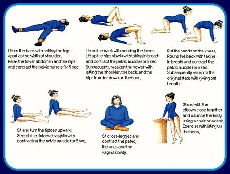 Did you know that certain pelvic floor exercises can help control an overactive bladder by strengthening your pelvic floor? Bladder Exercises, Pelvic Exercises, Kegal Exercises, Bladder Leakage, Bladder Control, Pelvic Floor Exercises, Floor Exercises, Kegel Exercise, Lower Abdomen