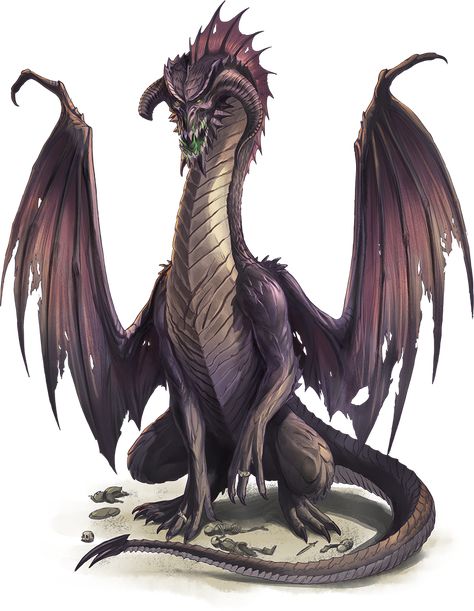 Iyrauroth Black Dragon Dnd, Dragon Dnd, Roll For Initiative, Dragon Tales, Dnd Dragons, Comic Layout, One D, Dnd Monsters, Dragon Pictures