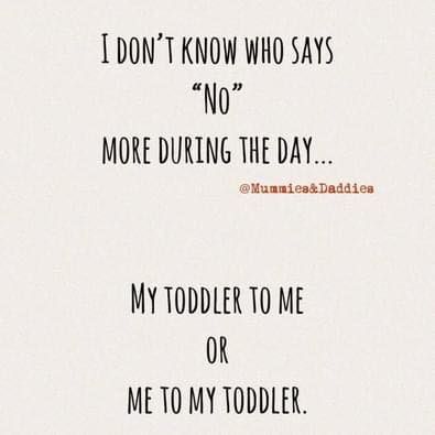 Toddler Funny Quotes, Toddler Meme Humor, Daycare Memes Funny, Toddler Quotes Humor, Toddler Boy Quotes, Mum Quotes Funny, Toddler Mom Quotes, Family Quotes Humor, Parenting Quotes Funny