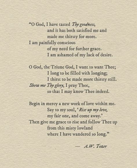 Tozer Quotes, A W Tozer, Christian Poems, Soli Deo Gloria, Give Me Jesus, Blessed Quotes, Daily Reminders, Never Alone, Love The Lord