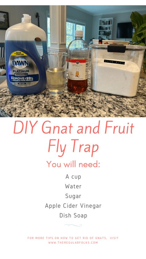 Catching Gnats In House, How To Attract And Kill Nats, Keep Gnats Out Of House, Homemade Gnat Killer, Home Remedy To Get Rid Of Nats, Diy Get Rid Of Gnats, How To Catch And Kill Nats, Mosquito Traps Diy How To Make, Gnat Spray Diy