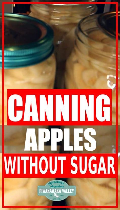 Canning apples without sugar. How to preserve apples sugar free. These effective instructions will safely can apples with no additional sugar. Canning Fresh Apples, Ways To Can Apples, Apples For Canning, Apple Canning Recipes, Can Apples, Apple Canning, Water Canning, Preserve Apples, Preserving Apples