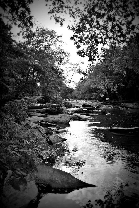 Graphite Landscape, Forest With River, Crimson Rivers, Lake Black And White, Waterfall Black And White, River Black And White, Acoustic Guitar Photography, Movie Screenshots, Forest Aesthetic