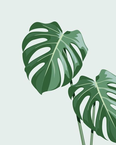 Plant Art Drawing, Monstera Plant Art, Decorate A Dining Room, Monstera Plant, Plant Painting, 수채화 그림, Etsy Art Prints, Plant Drawing, Plant Illustration