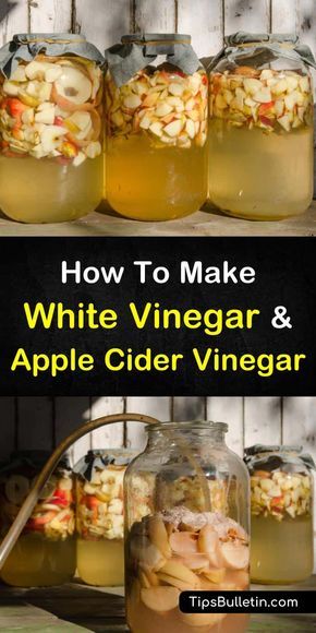 Learn how to make simple homemade vinegar that you can use at home as a cleaner, in food, or as salad dressings. Using easy ingredients like white and red wine and apple cider, these recipes are easy to follow. Make White Vinegar, How To Make Vinegar, Apple Cider Vinegar Recipes, Canning Food Preservation, Homemade Apple Cider, Fermentation Recipes, Survival Food, Fermented Foods, Healthy Eating Habits