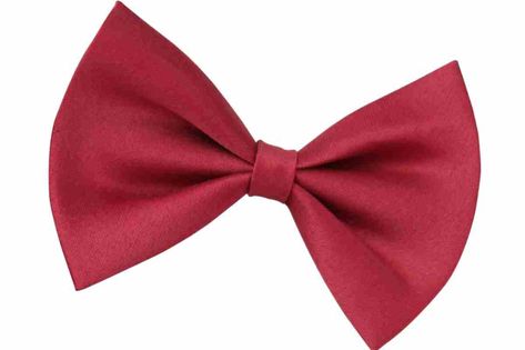 How to Draw a Bow Tie: A Fun and Easy Guide – Improve Drawing Draw A Bow, Red Wedding Favors, Drawing Wrinkles, Tie Drawing, Improve Drawings, Tuxedo Bow Tie, Men's Tuxedo, Cartoon Style Drawing, Paper Bow