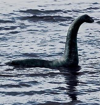 Catty Noir, Creative Advertising Design, Loch Ness Monster, Loch Ness, Best Ads, Urban Legends, Sea Monsters, Creative Ads, Creative Advertising