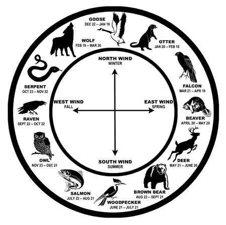 Native American Spirit Animals. Zodiac based on the totem. Native American Animal Symbols, Native American Astrology, Birth Animal, Native American Zodiac, Native American Animals, Native American Wisdom, Native American Symbols, American Symbols, Chinese Astrology