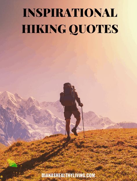 Looking for inspirational hiking quotes? Here is a list of the most motivational hiking captions for those who love the outdoors and adventure. #hiking #hikingquotes #adventure #adventurequotes #instagram Hiking Love Quotes, Hiking Inspiration Quotes, Hiking Motivation, Hike Quotes, Trails Quotes, Hiking Quotes Adventure, Motivational Captions, Clear My Mind, Reconnect With Nature