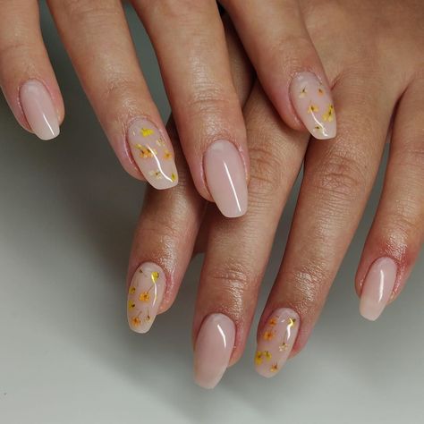 Novelty Nails, Pressed Flower Nails, Nails With Flowers, Gold Gel Nails, Bridal Nails Designs, Nail Goals, Milky Nails, Nail Care Tips, Blush Nails