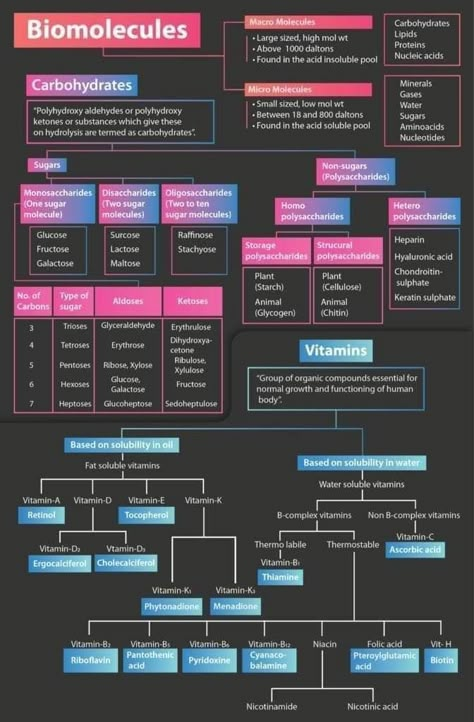 Biomolecules Class 12 Mind Map, Gate Biotechnology Notes, Neet Aspirant 2024, Biomolecules Notes Biology Neet, Biomolecules Notes Chemistry Class 12, Bsc Biotechnology Notes, Bio Notes Class 11, Biomolecules Notes Biology Class 11 Neet, Biomolecules Notes Biology Class 11