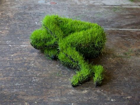 Lives of Grass, sculptures of humans made out of live grass - Mathilde Roussel. Grass Man, Organic Sculpture, Growing Grass, Human Sculpture, Wheat Grass, Grass Seed, Tree Hugger, Sculpture Installation, Land Art