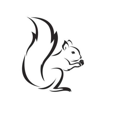 2,186 Squirrel Outline Stock Photos, Pictures & Royalty-Free Images - iStock Squirrel Outline, Images Of Squirrels, Squirrel Silhouette, Squirrel Tattoo, Squirrel Illustration, Squirrel Design, Animal Outline, Squirrel Art, Silhouette Tattoos