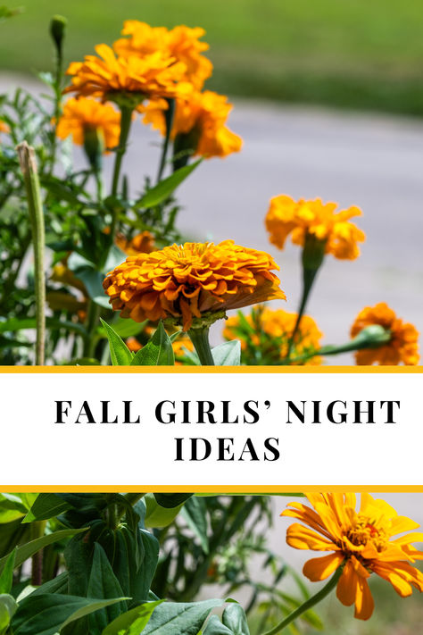 Bright yellow marigolds are in the background. A text box says "Fall Girls' Night Ideas" Fall Girls Night, Wine And Charcuterie, Girls Night Ideas, Flower Picking, Friend Group, Seasonal Home Decor, Night Ideas, Ladies Night, Girl Falling