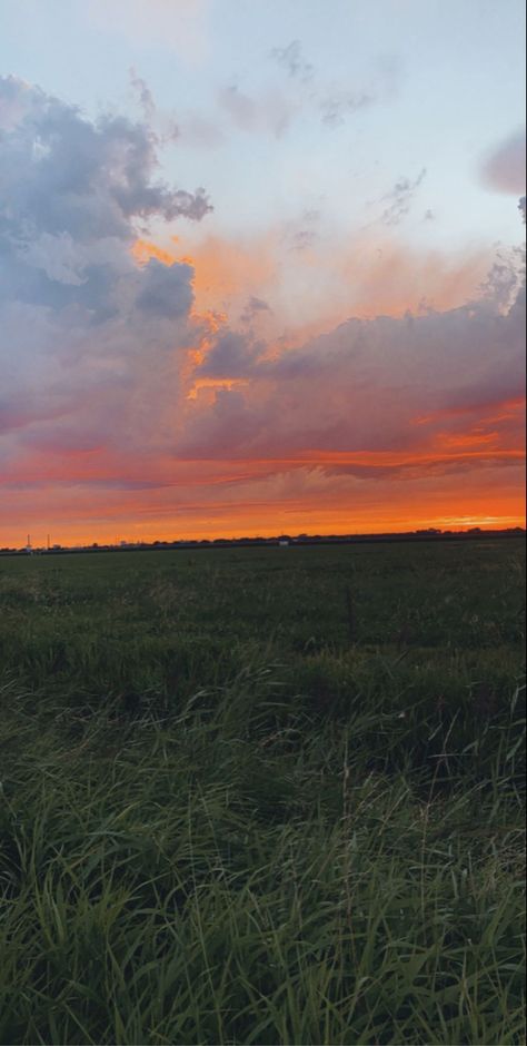 Clouds Painting, Aesthetic Sun, Sky Pretty, Grass Fields, Pretty Aesthetic, Sun Nature, Grass Field, Best Sunset, Sky Painting