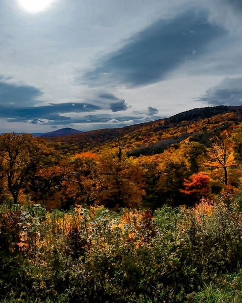 🍂Nature's masterpiece! 😍 The vibrant colors of fall are simply breathtaking. Where's your favorite spot to enjoy the foliage? 📍Fall foliage in Georgia and along the Blue Ridge Parkway 🔖Bookmark this post, share with a friend & follow for more travel, nature, architecture, landscape, and all things beautiful and inspirational. Ready to purchase your new favorite shot? Head to the link in my bio. #thrumysamsunglens #fallphotography #fallfoilage #atlantageorgia #northcarolina #virginia #r... Blue Ridge Parkway Fall, Fall Foilage, Virginia Fall, Virginia Travel, Colors Of Fall, Nature Architecture, All Things Beautiful, Architecture Landscape, Blue Ridge Parkway