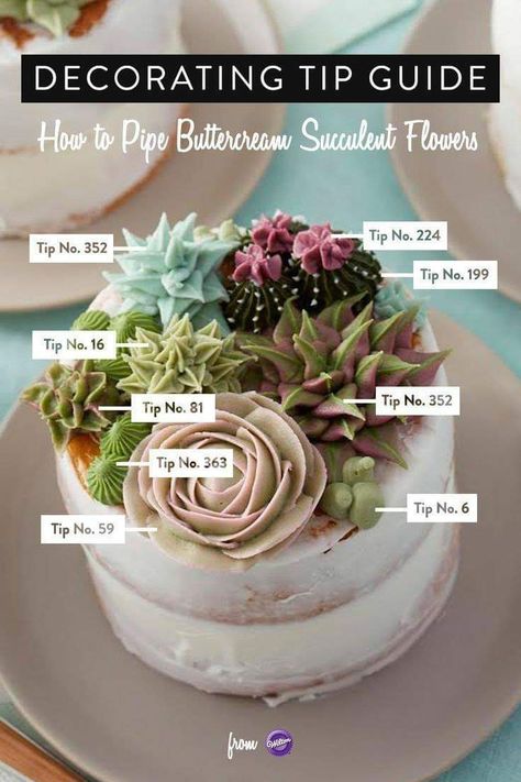 Cupcakes Succulents, Piping Buttercream, Succulent Cupcakes, Savory Cakes, Succulent Cake, Cactus Cake, Cupcake Tutorial, Cake Piping, Salty Cake