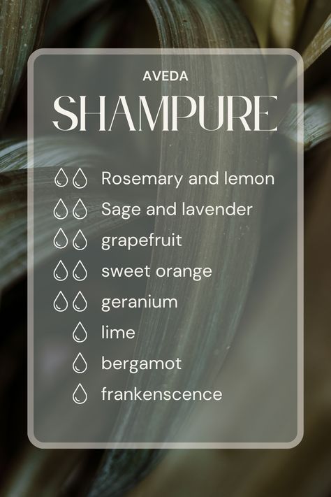 tried and true essential oil combination. Aveda Shampure Essential Oil Blend, Aveda Essential Oil Recipe, Scent Board, Spa Scents, Coriander Essential Oil, Perfume Diy, Spa Essential Oils, Scent Blends, Essential Oil Perfumes Recipes