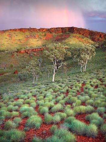 Australian Landscape Art, Australia Scenery, Australia Painting, Landscape Australia, Great Barrier Reef Australia, Australian Landscapes, Australian Desert, Australian Country, Australia Landscape