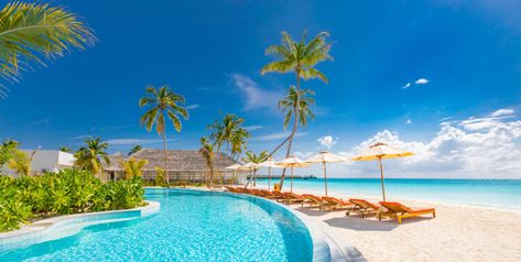 10 Different Types of Resorts to Consider for Vacation Turks And Caicos Resorts, All Inclusive Beach Resorts, Excellence Resorts, Palms Casino Resort, Best All Inclusive Resorts, Caribbean Resort, Caribbean Vacations, Caribbean Beaches, Casino Resort