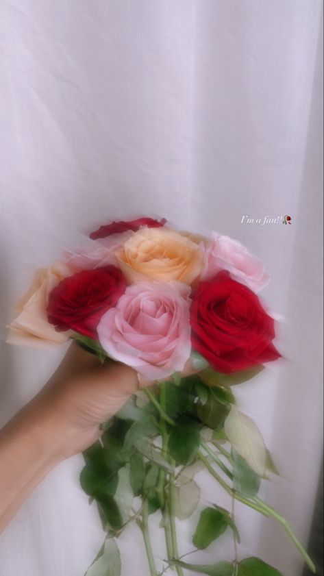 Fake Flowers Snap, Rose Snap Story, Flower Snaps Snapchat, Ahmedabad Snap, Rose Snap, Flower Bokeh, Diy Fairy Door, Basic Aesthetic, File Decoration Ideas