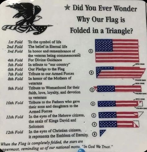 American Flag History, Flag Etiquette, Government Lessons, Teaching Government, Patriotic Quotes, I Love America, History Timeline, History Education, The American Flag