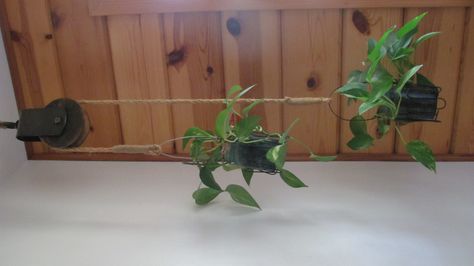 Old barn pulley used as a plant holder hanging from ceiling. Hanging Plants Ideas, Hanging Plants Diy, Plants Hanging, Macrame Planter, Plants Ideas, Hanging Plants Indoor, Garden Tub, Salou, Diy Hanging