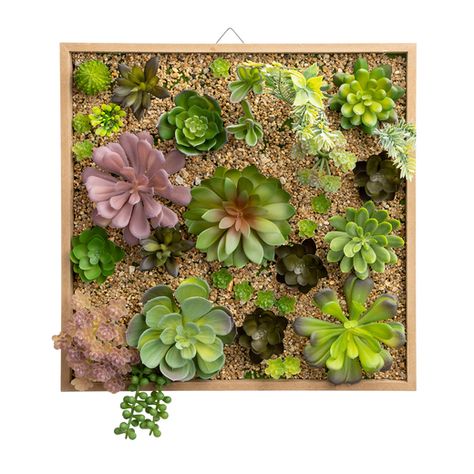 Succulent wall art