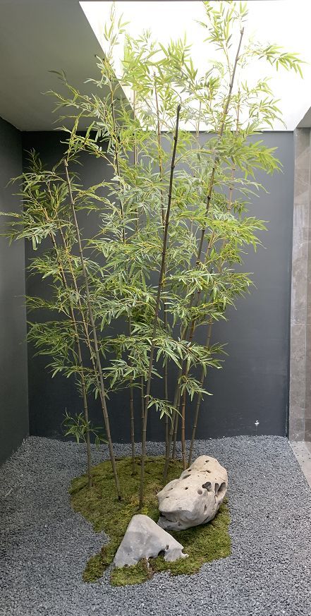 Japandi Yard, Indoor Landscape Design, Japandi Garden, Diy Japanese Garden, Bamboo Landscape, Japanese Rock Garden, Japanese Plants, Japanese Garden Landscape, Side Yard Landscaping