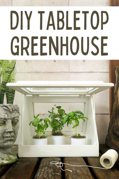 Diy Table Top Greenhouse, Table Top Greenhouse Diy, Diy Indoor Greenhouse Small Spaces, Table Top Greenhouse, Diy Indoor Greenhouse, Mini Greenhouse Indoor, Tabletop Greenhouse, Diy Small Greenhouse, Greenhouse Tables