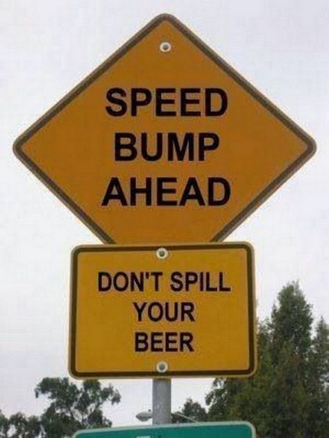 Structures Architecture, Funny Aussie, Aussie Memes, Funny Street Signs, Meanwhile In Australia, Funny Road Signs, Bump Ahead, Speed Bump, Fun Signs