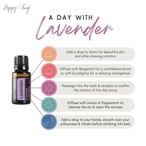 Deep Blue Doterra, Essential Oils Lavender, Doterra Lavender, Doterra Essential Oils Recipes, Essential Oils Health, Using Essential Oils, Diy Oils, The Romans, Army Knife