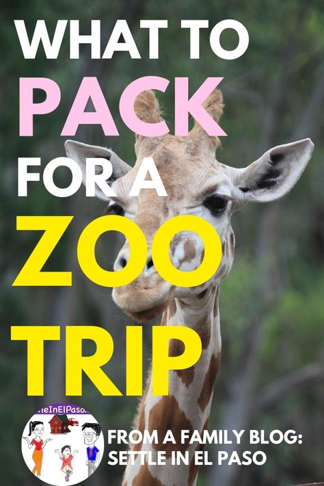 What to pack for a zoo trip with a toddler? A zoo trip with children cannot be sudden. It needs some preparation. #parenting #children #summerfun #travel #familyfun #family Snacks For Zoo Trip, What To Pack For Zoo Trip, Zoo Trip Essentials, Zoo Trip Packing List, Zoo Packing List, Zoo Essentials, Zoo Checklist, Packing Lunch Ideas, Toddler Packing List