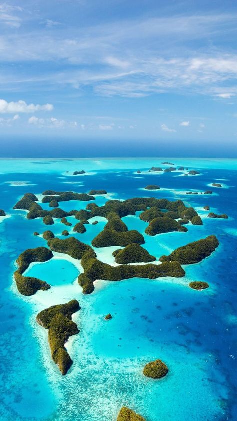 Palau Aesthetic, Palau Island, Raja Ampat, Earth Pictures, Moss Art, River Park, Island Paradise, Natural Art, Palau