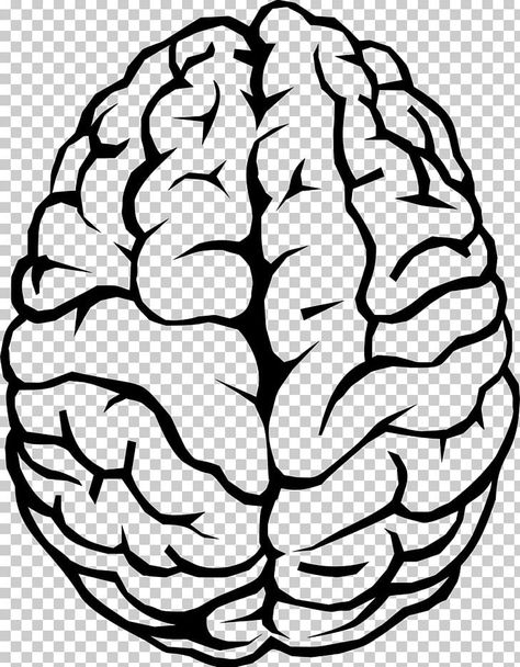 Brain Art Drawing, Human Brain Drawing, Brain Png, Brain Pictures, Clip Art Black And White, Brain Graphic, Brain Icon, Brain Drawing, About Brain