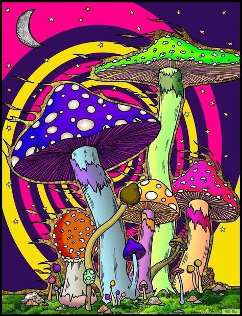 Trippy Iphone Wallpaper, Mushroom Pictures, Trippy Drawings, Trippy Designs, Mushroom Drawing, Psychadelic Art, Psy Art, Hippie Painting, Trippy Wallpaper