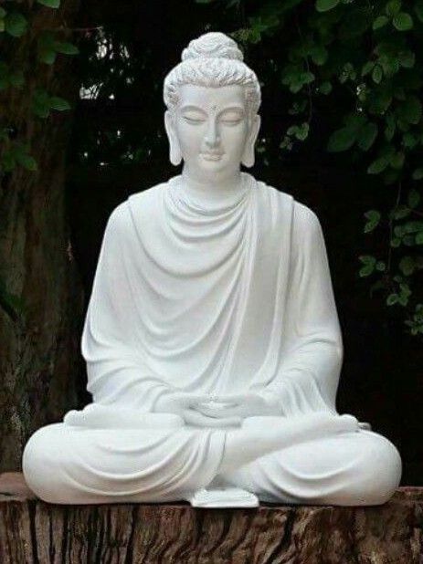 Buddah Images, Sick Posters, Gods Painting, White Buddha Statue, White Buddha, Buddha Art Drawing, Buddha Artwork, Buddha Garden, Buddha Decor