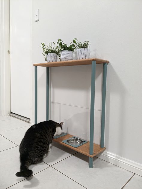 Cat feeding station with built-in splashback Built In Cat Feeding Station, Cat Station Ideas, Cat Food And Water Station, Cat Feeding Area, Cat Food Station, Cat Feeding Station, Cat Bar, Pet Station, Pet Feeding Station