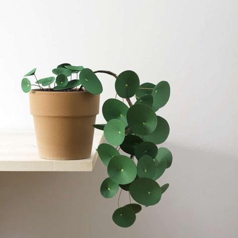 Paper Plants Diy, Plant Diy, Paper Blog, Plant Crafts, Cactus Diy, Chinese Money Plant, Green Craft, Paper Plants, Money Plant