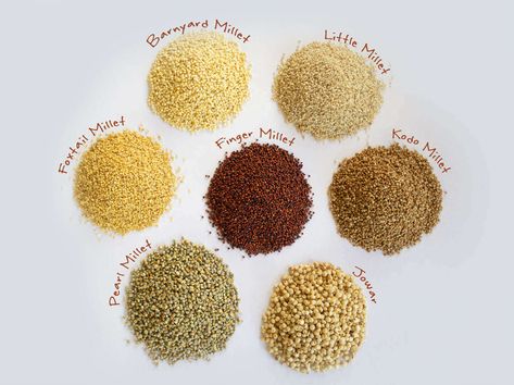 According to traditional medicine, millet support digestion, improve appetite, nourish prana and blood deficiencies, increase lactation, harmonize the stomach, and calm the sleep.  #millets #pristineorganics Pristine Organics #healthydiet #millettypes #milletbenefits Millet Benefits, Grains List, Pearl Millet, Millet Flour, Millet Recipes, Improve Heart Health, Organic Lifestyle, Ancient Grains, Gluten Free Grains