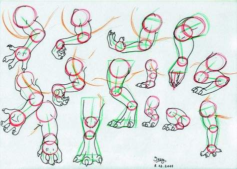 Dragon legs and arms Tutorial by Natsuakai.deviantart.com on @DeviantArt Paws Drawing, Cat Paw Drawing, Dragon Poses, Paw Drawing, Kitty Paws, Drawing Lesson, Dragon Sketch, Sketches Tutorial, Creature Drawings